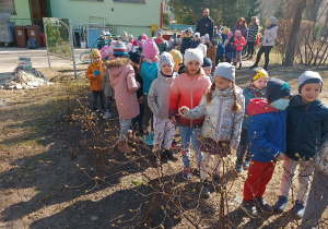 Dzieci oglądają zielone pączki na krzewach