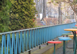 A kto to się chowa za drzewem?