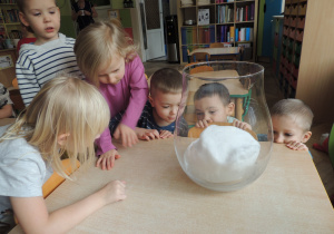 Ojej, skurczył się.