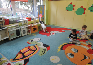 Nitro szuka swojej ulubionej piłeczki.