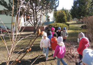 Czy szła tędy wiosna?